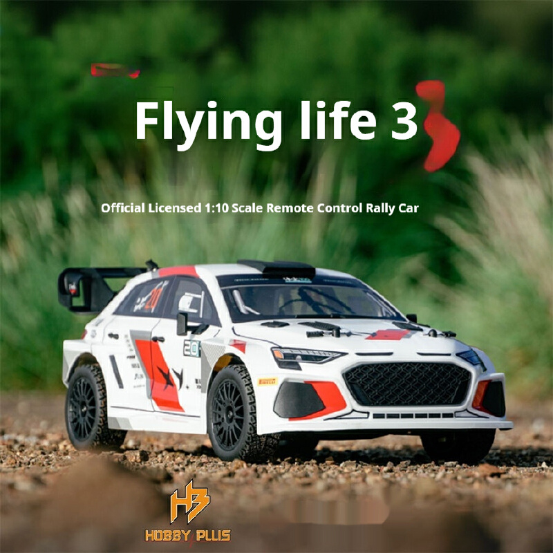 HobbyPlus X 1/10 4WD 電動RCラリーカー - Rc Hobby Plus のレビューと価格